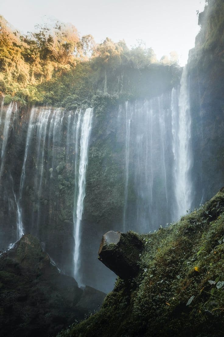 Discover the Hidden Wonders of East Java: Tumpak Sewu Waterfall & Goa Tetes Adventure